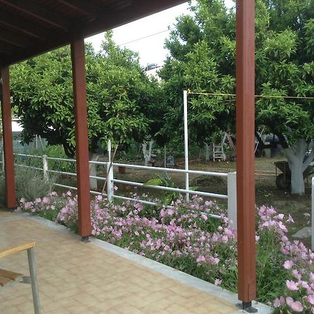 Studios Lalu Skiathos Town Exterior photo
