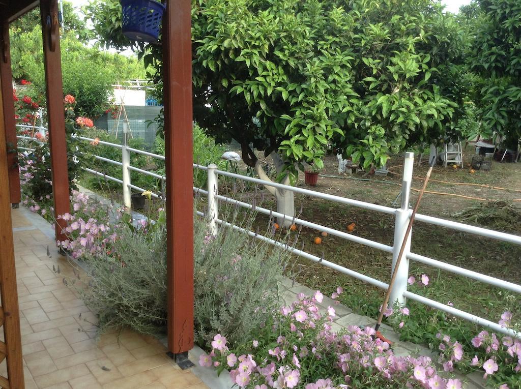 Studios Lalu Skiathos Town Room photo